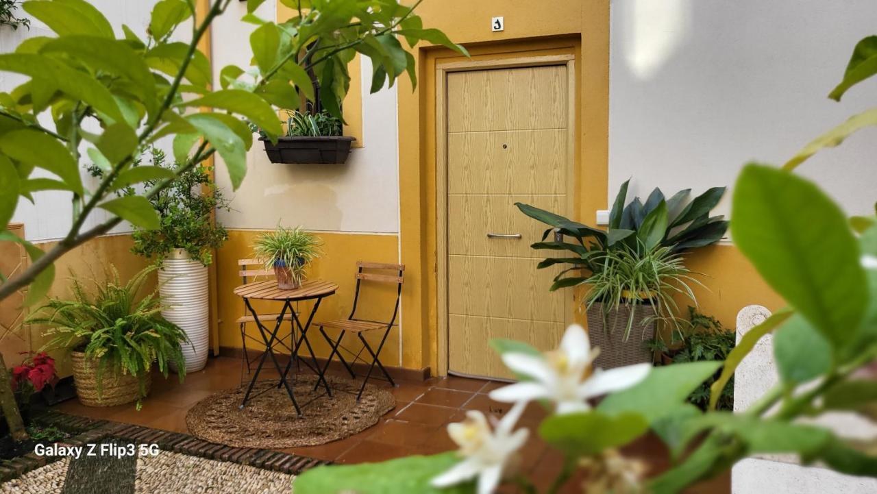 Apartamento Casa Naranjo Kordoba Bagian luar foto