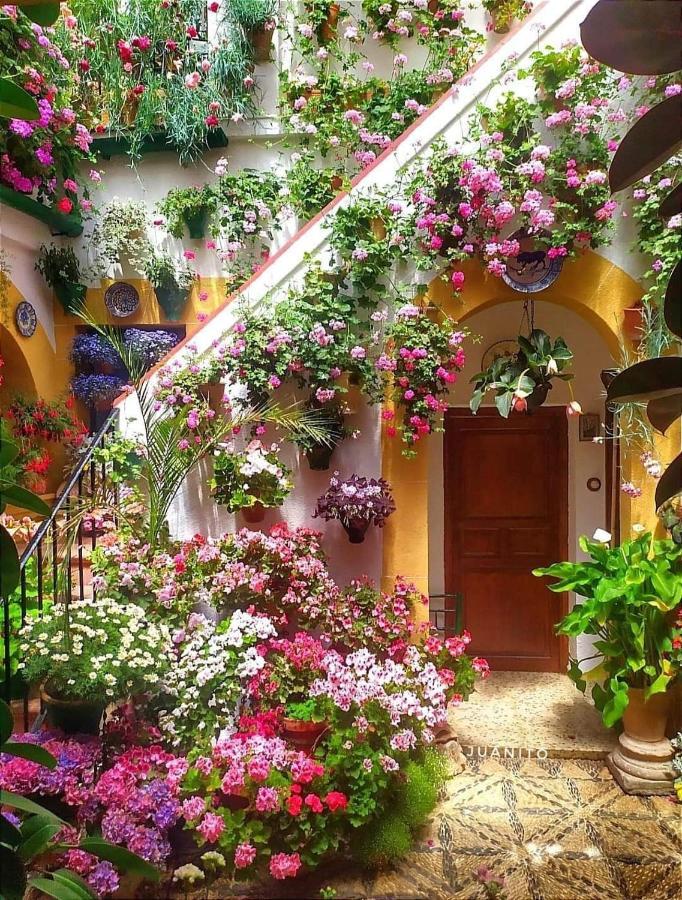 Apartamento Casa Naranjo Kordoba Bagian luar foto